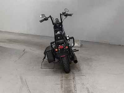 Harley-Davidson Iron XL1200NS 2020