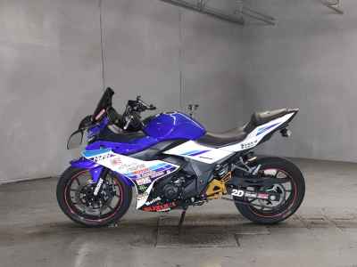 Suzuki GSX250R