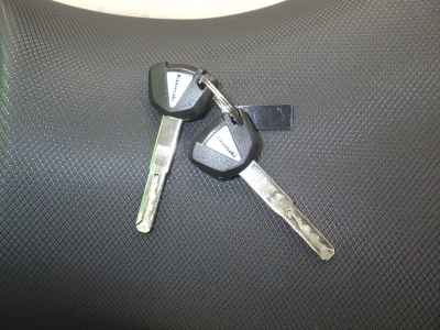 Kawasaki Ninja 250 2023