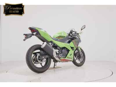 Kawasaki Ninja 250 2023