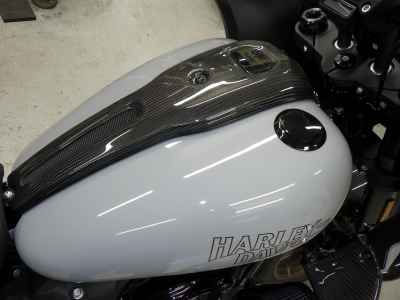 Harley-Davidson FXLRST1920 2024