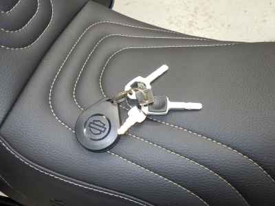 Harley-Davidson FXLRST1920 2024