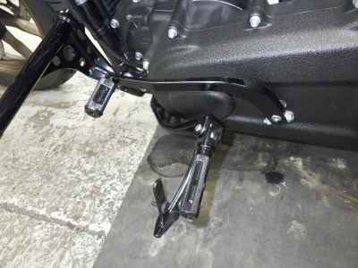 Harley-Davidson FXLRST1920 2024