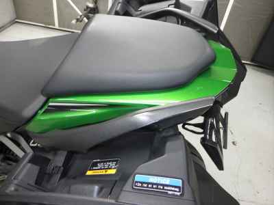 Kawasaki Ninja 1000SX 2021