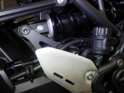 Kawasaki Z900RS Cafe 2024