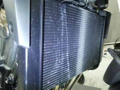 Honda CB650R E-Clutch 2024