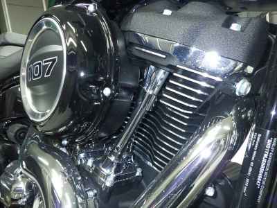 Harley-Davidson Sport Glide FLSB1750 2025