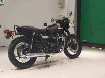 Kawasaki W800 2021