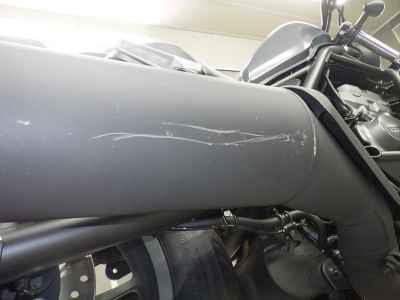 Honda Rebel CMX250 2025