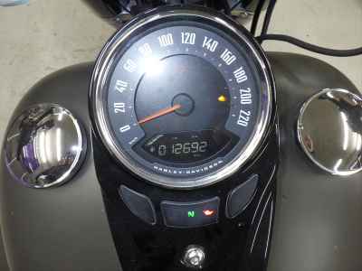 Harley-Davidson Slim FLSL1750 2018