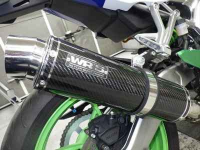 Kawasaki Ninja ZX-4RR 2024