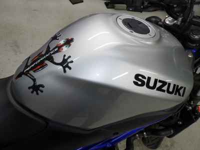 Suzuki SV650 2020