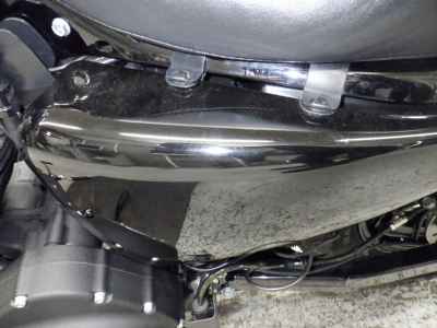 Harley-Davidson Sportster Forty-Eight XL1200X 2019