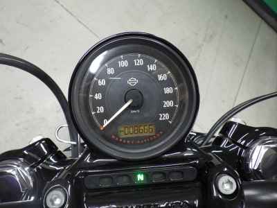 Harley-Davidson Sportster Forty-Eight XL1200X 2019