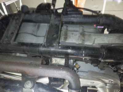 Harley-Davidson Sportster XL883L 2010