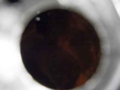 Harley-Davidson Street Glide FLHXSE1800 2015