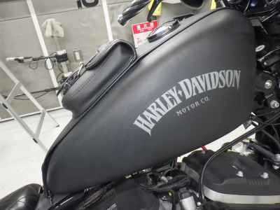Harley-Davidson Sportster Iron XL883N 2015