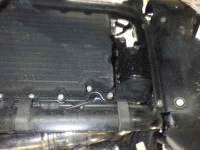 Harley-Davidson Night Rod 1250 SP 2008