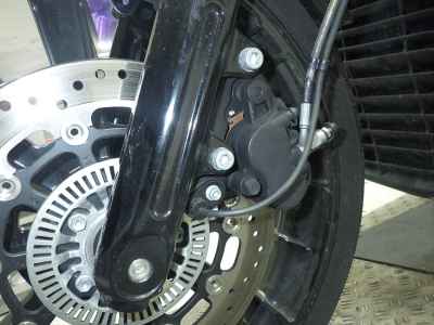 Indian Scout ROGUE 2024