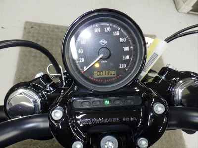 Harley-Davidson Sportster Forty-Eight XL1200X 2022