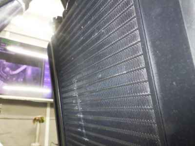 Harley-Davidson X500 2025