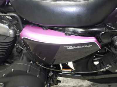 Harley-Davidson Sportster Forty-Eight XL1200X 2010