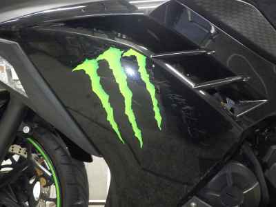 Kawasaki Ninja 250 2014