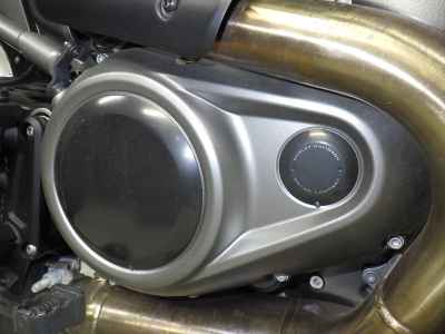 Harley-Davidson Pan America 1250 Special 2021