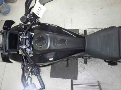 Harley-Davidson Pan America 1250 Special 2021