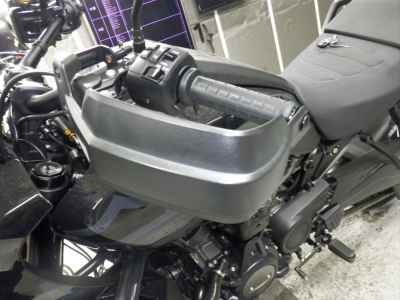 Harley-Davidson Pan America 1250 Special 2021