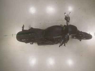 Harley-Davidson Night Rod 1250 SP 2010