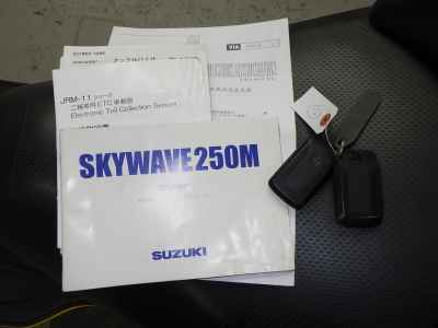 Suzuki Skywave 250M