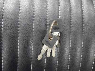 Harley-Davidson Sportster Iron XL883N 2017