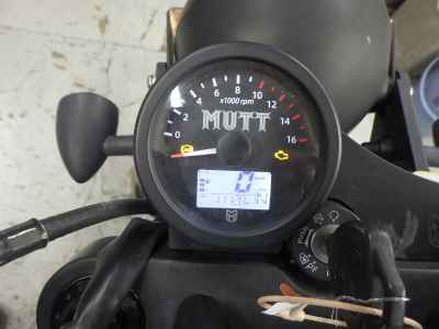Mutt 250 2021