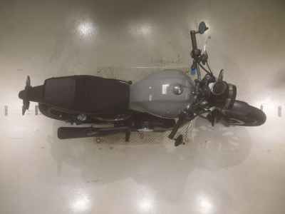 Honda GB350 2022