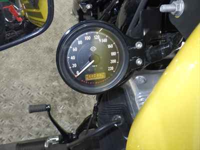 Harley-Davidson Sportster Forty-Eight XL1200X 2018