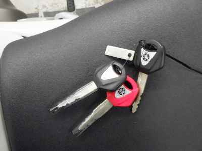 Yamaha XSR900 GP 2024