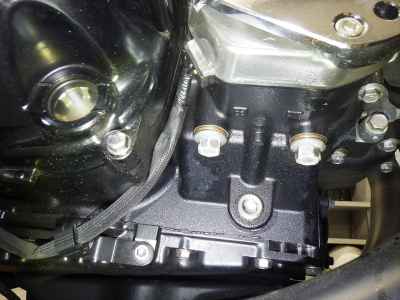 Kawasaki Z900RS Cafe 2019