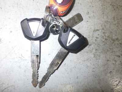 Kawasaki Z900RS Cafe 2019