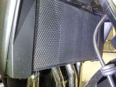 Kawasaki ZRX1200 Daeg 2017