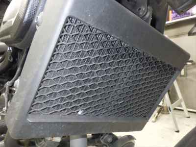 Honda Rebel CMX250 2019