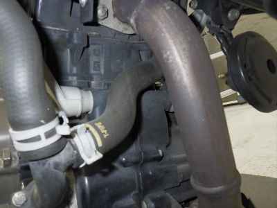 Husqvarna Svartpilen 401 2021