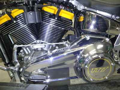 Harley-Davidson FLSTFI 2025