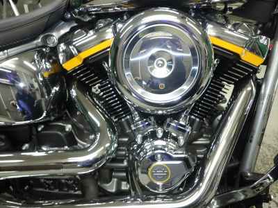 Harley-Davidson FLSTFI 2025