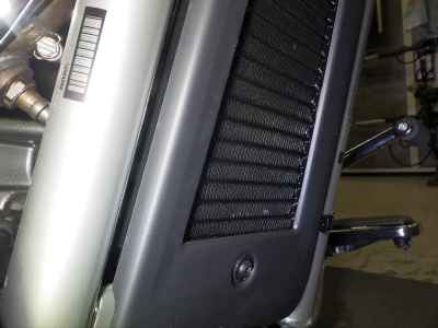 Harley-Davidson FLSTFI 2025