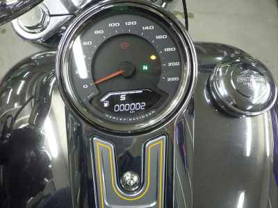 Harley-Davidson FLSTFI 2025