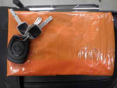 Harley-Davidson FLSTFI 2025