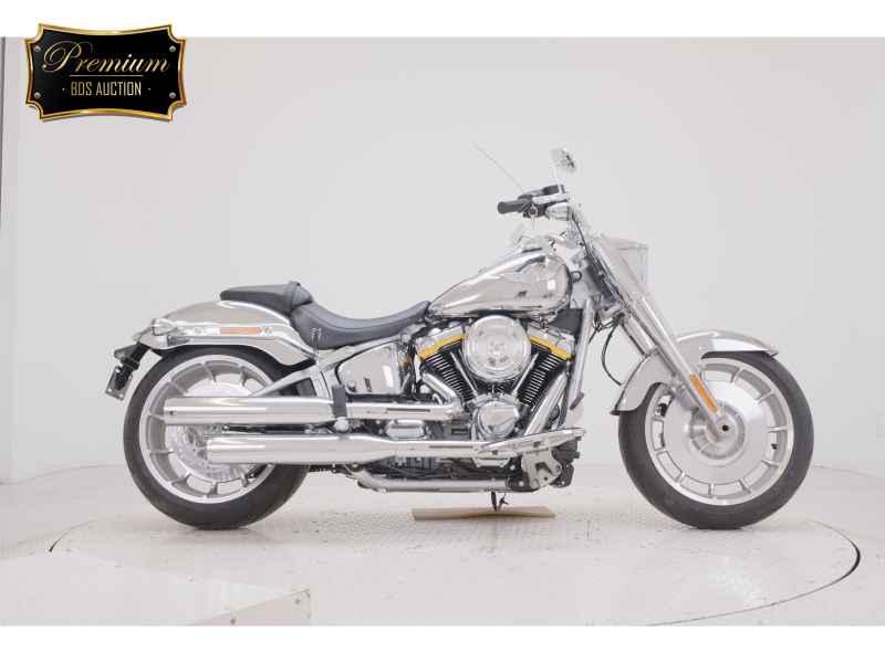 Harley-Davidson FLSTFI 2025