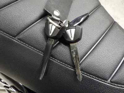 Kawasaki Z900RS 2025