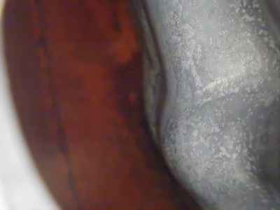 Kawasaki Z1100SPECTER 2014